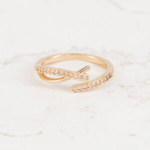 ANILLO RAMA CIRCONES